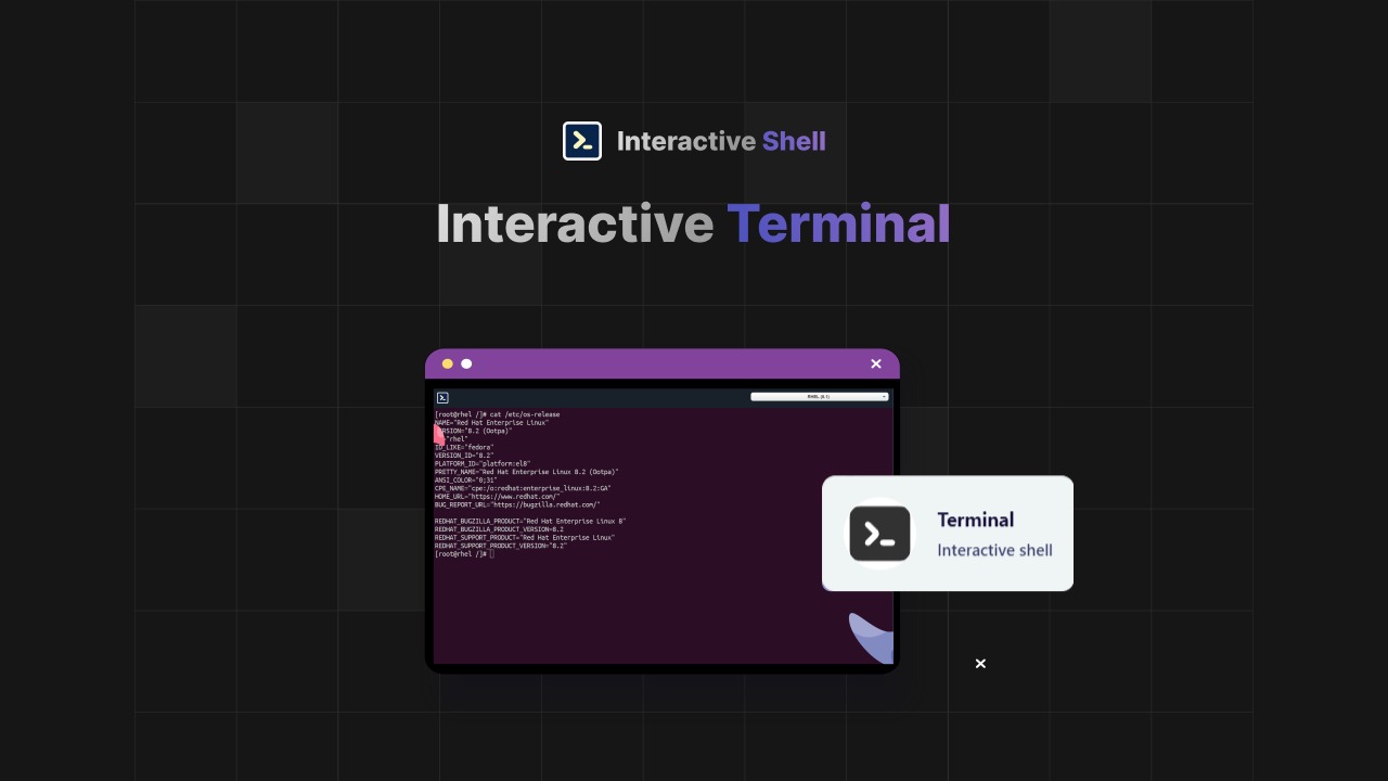 Interactive Shell – Image 2