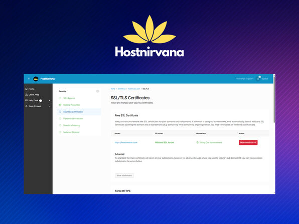 Hostnirvana Website Hosting – Image 4