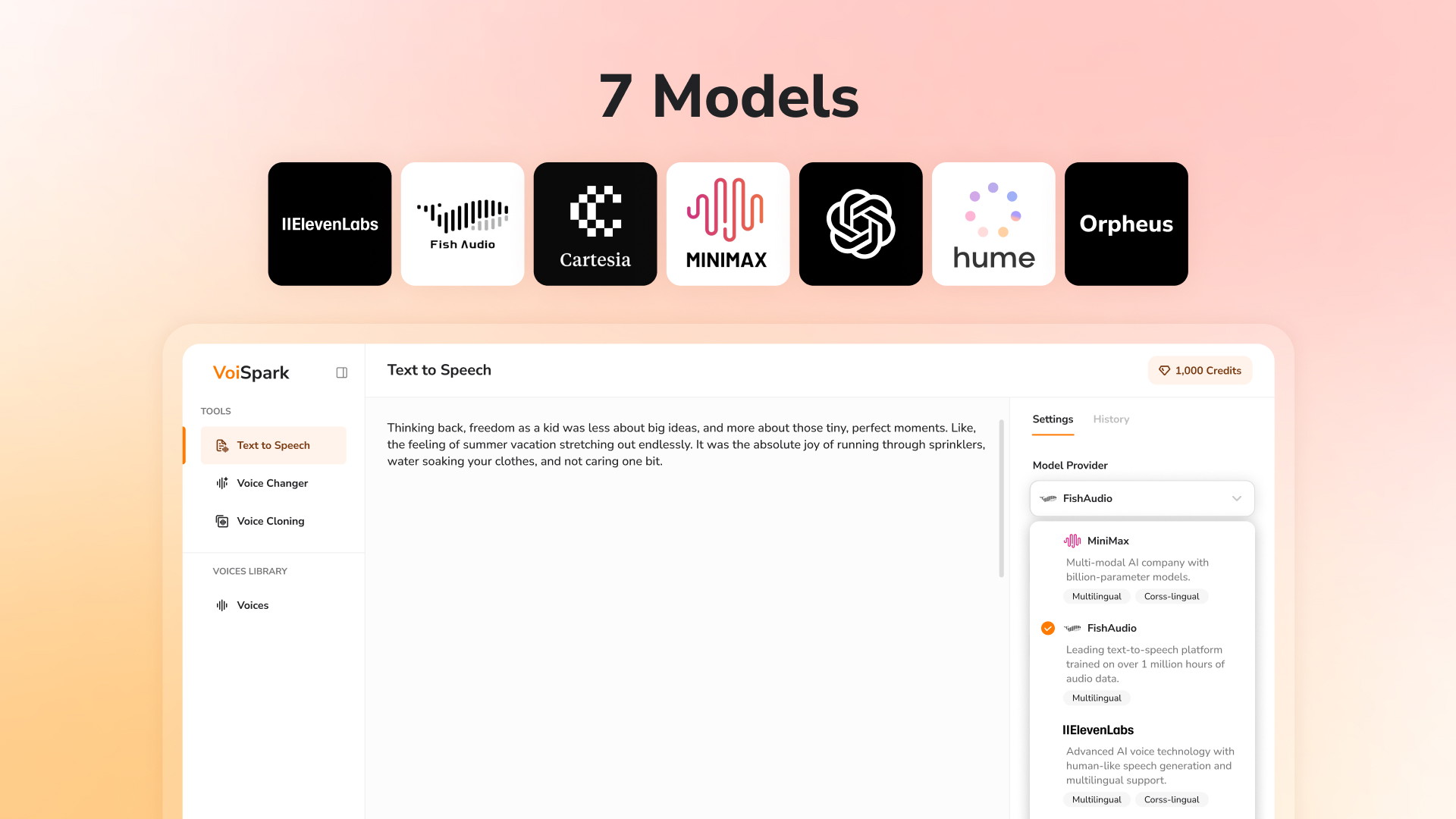 VoiSpark – Image 2
