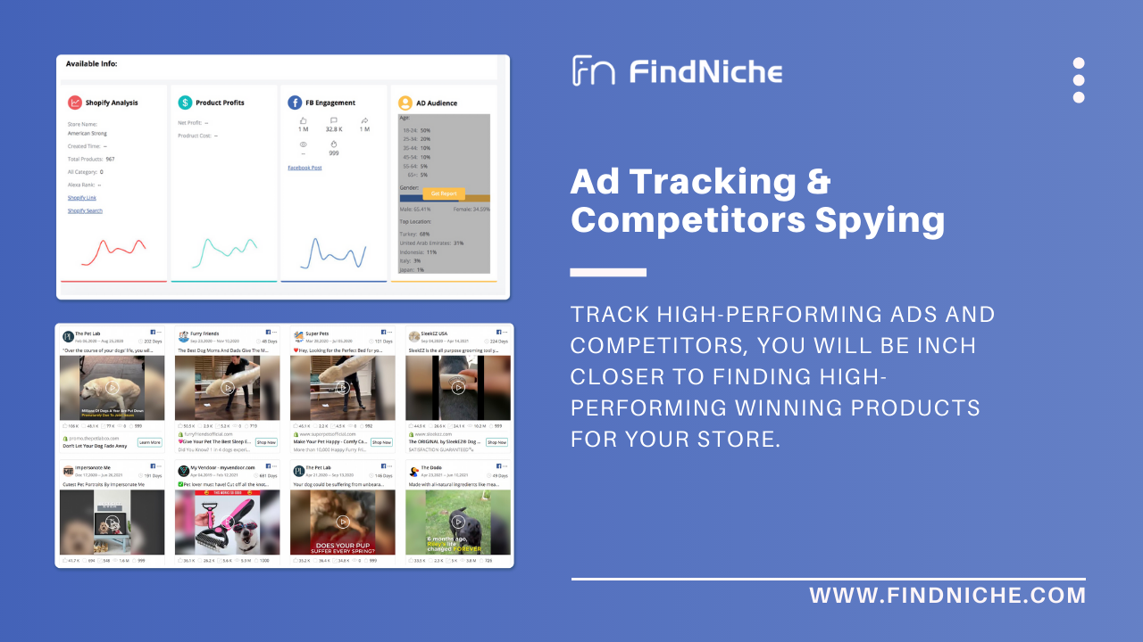 FindNiche – Image 6