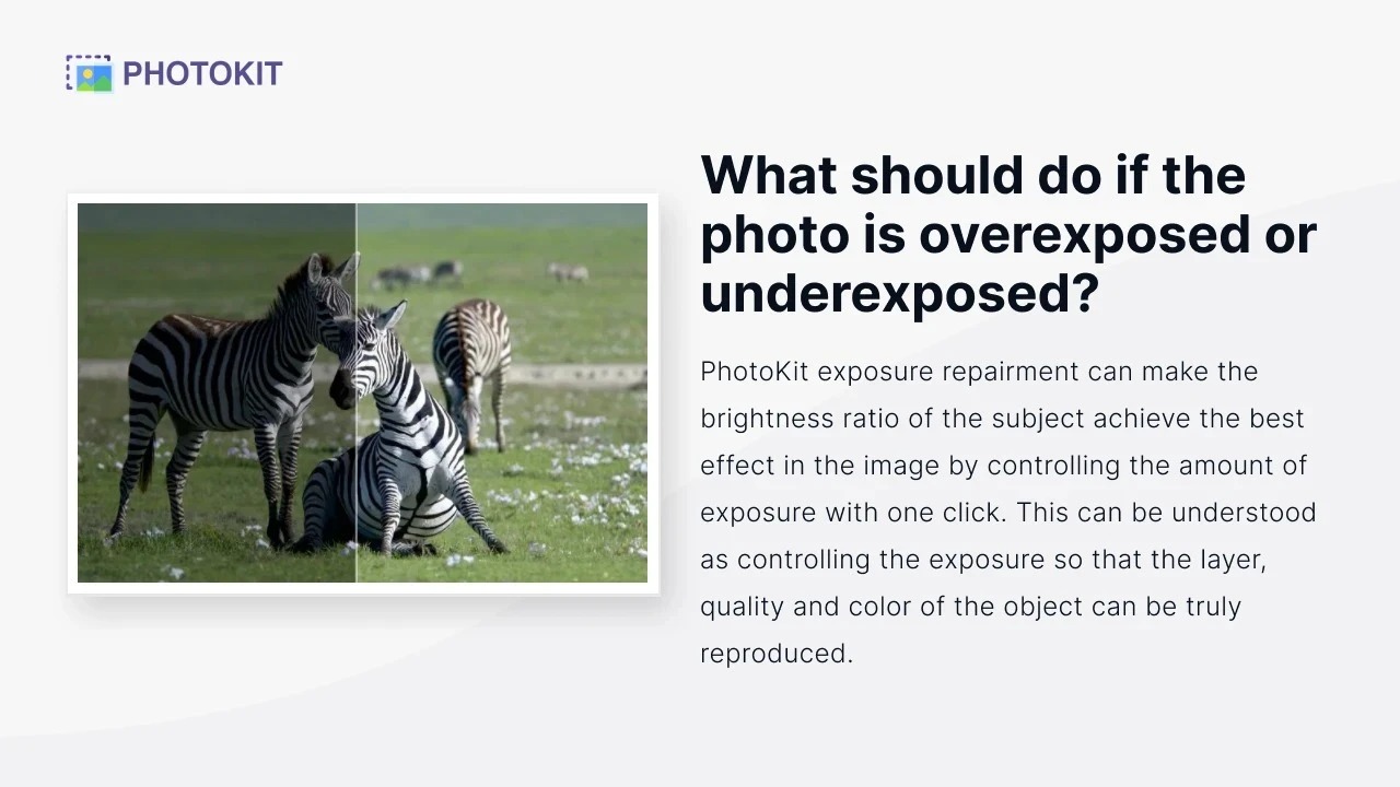 PhotoKit Photo Editor – Image 5