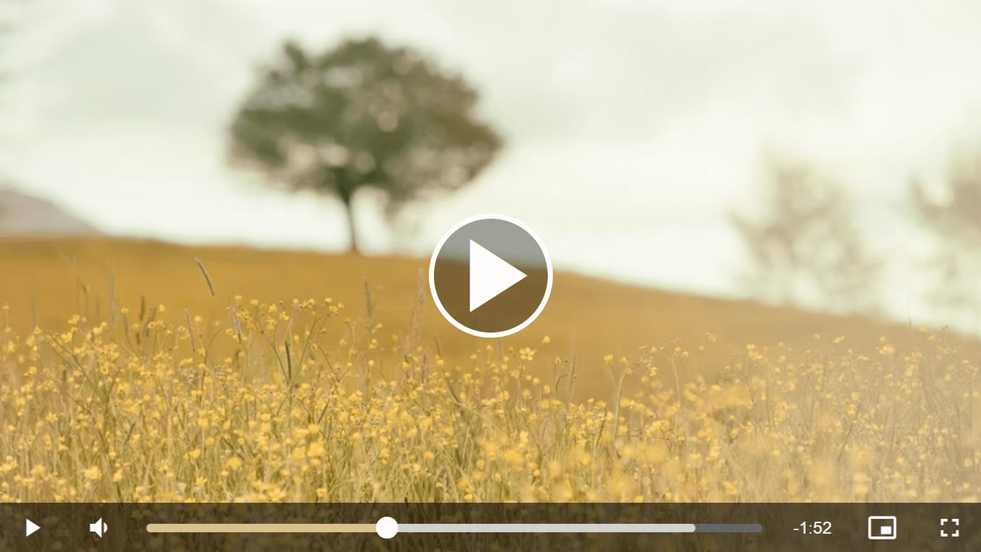 SumPlayer – Image 2