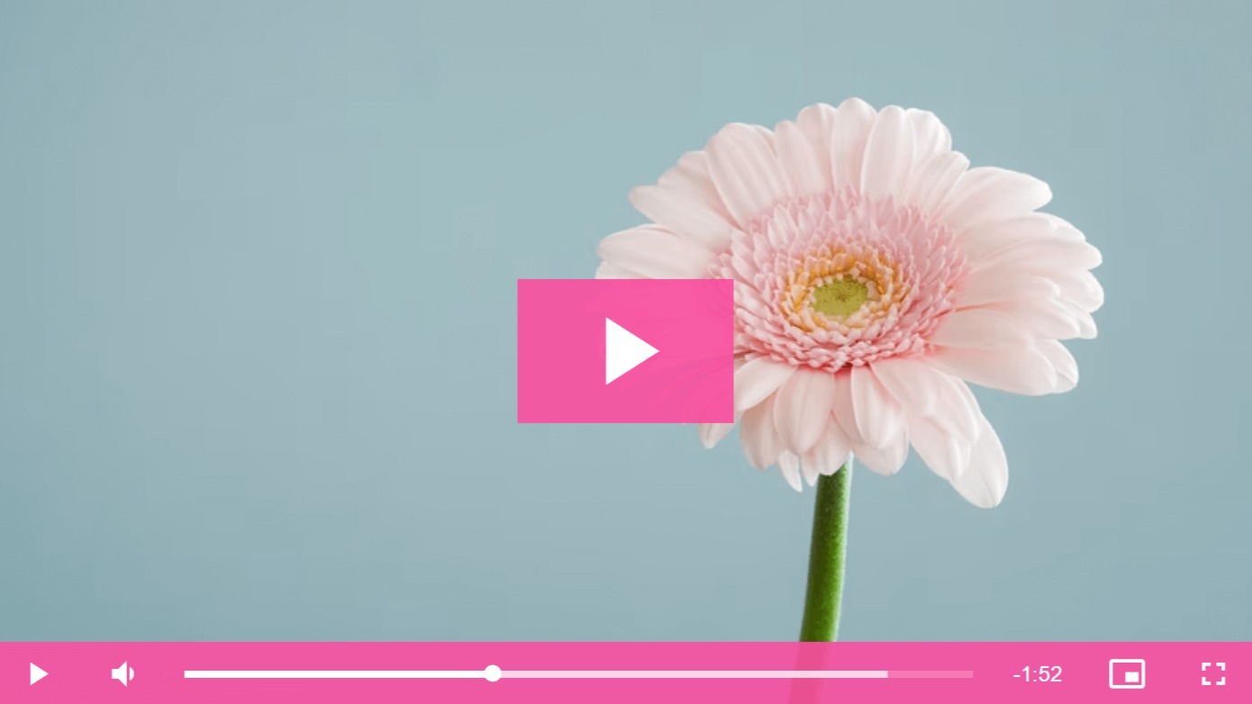 SumPlayer – Image 6