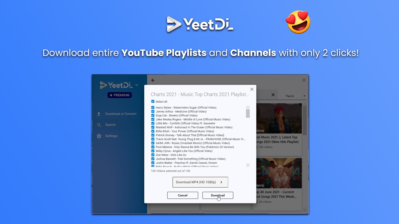 YeetDL – Image 2