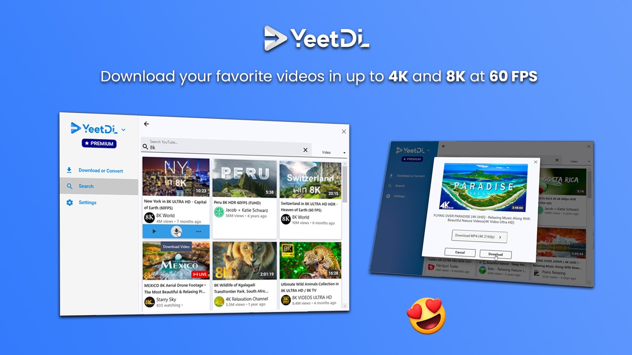 YeetDL – Image 4