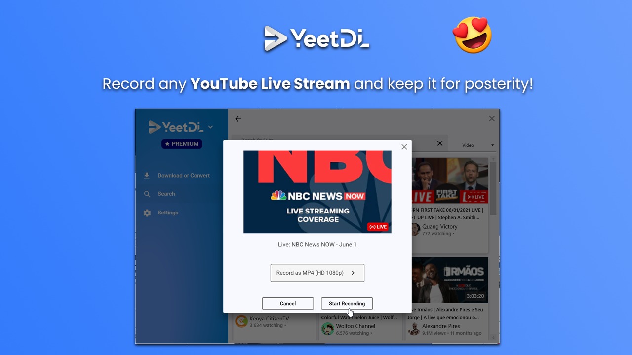 YeetDL – Image 5