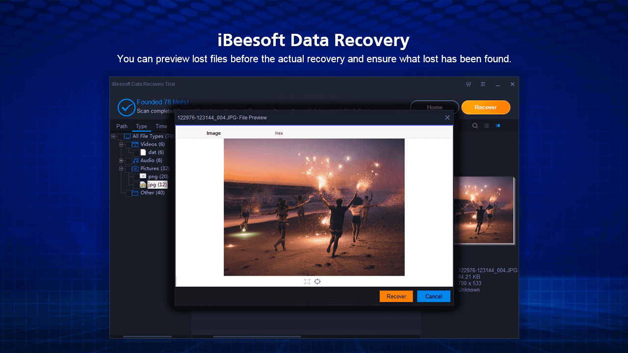 iBeesoft Data Recovery – Image 3